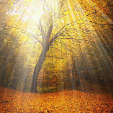 Схема вышивки «№1772898»