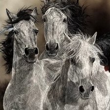 Схема вышивки «лошадь»