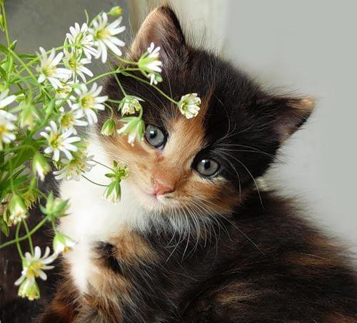 №1773212 - оригинал