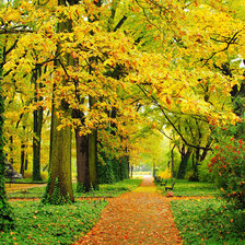 золотая осень