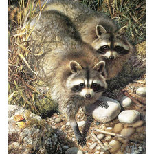 Схема вышивки «Серия "Еноты"»