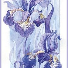 Схема вышивки «ирисы»