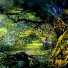 Схема вышивки «Павлин»