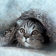 Схема вышивки «№1773555»