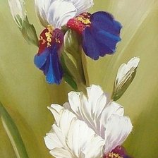 Схема вышивки «Ирисы 1»