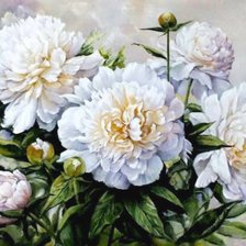 Схема вышивки «№1773611»