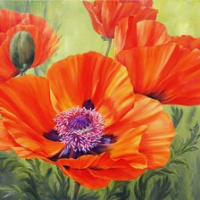 Схема вышивки «маки»