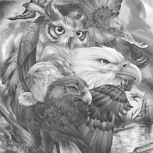 Схема вышивки «Птицы»