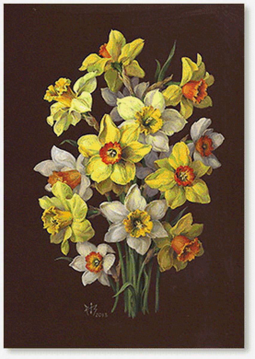 kytička - предпросмотр