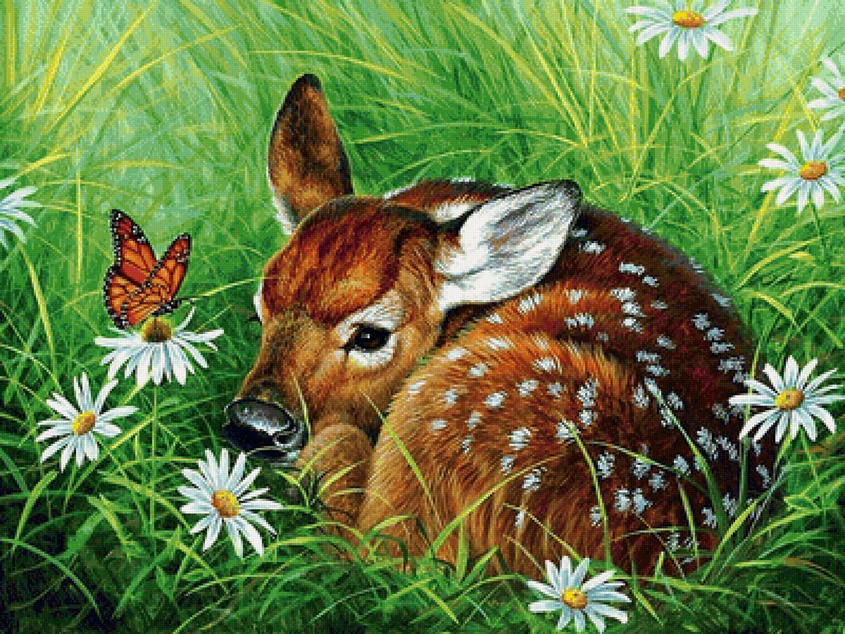 оленёнок - олененок - предпросмотр