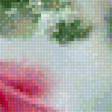 Предпросмотр схемы вышивки «Розовые розы» (№1774373)