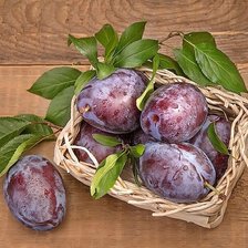 Схема вышивки «№1774653»