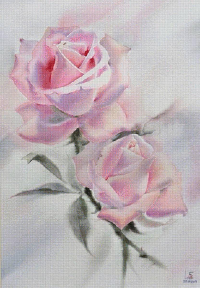 две розы - акварель, натюрморт, розы, розовые, две, цветы - предпросмотр