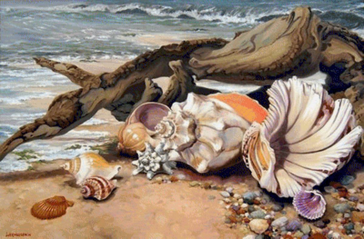 mušle - предпросмотр