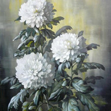 хризантемы