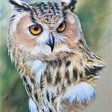 Схема вышивки «Взгляд»