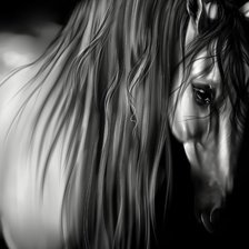 Схема вышивки «Лошадь»