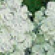 Предпросмотр схемы вышивки «гортензия» (№1775426)