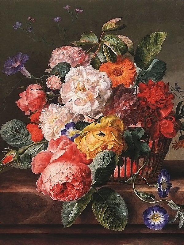 садовые розы - розы, цветы - оригинал