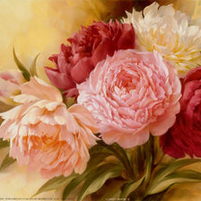 Схема вышивки «пионы»