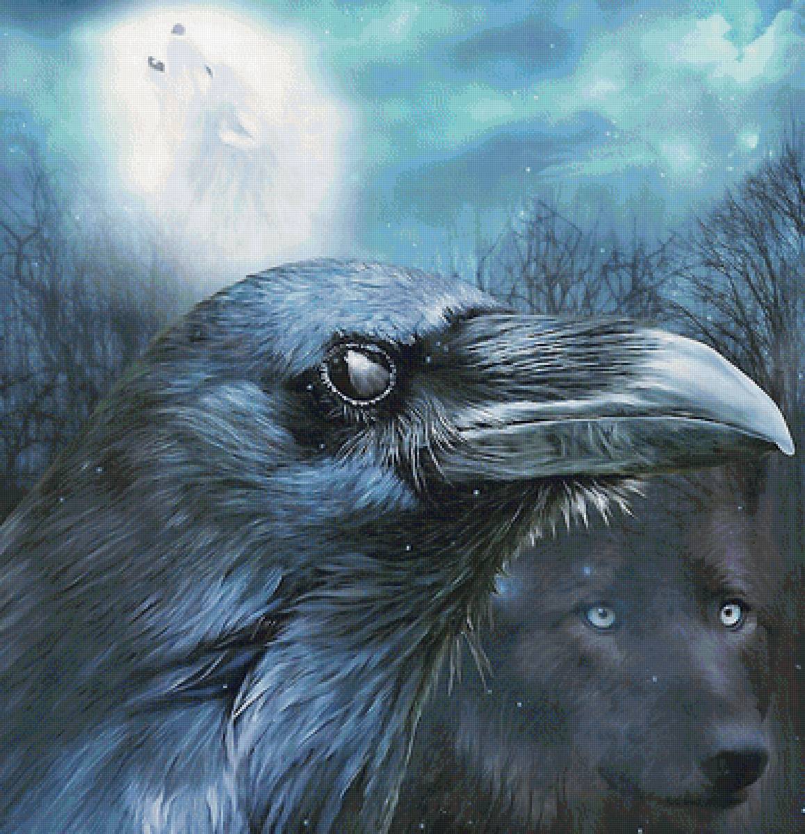 Ворон - предпросмотр