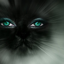 Схема вышивки «кошка»