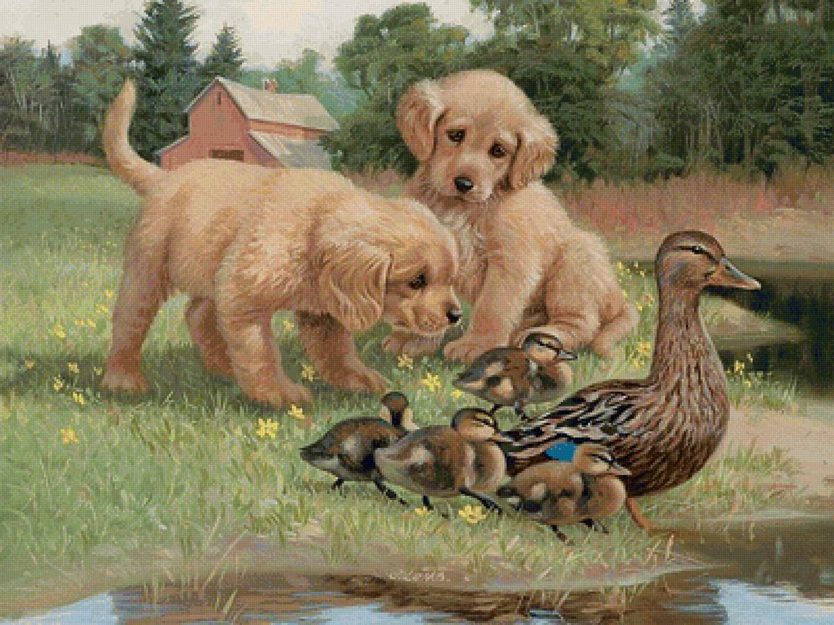 кутята и утята - предпросмотр