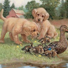 Схема вышивки «кутята и утята»