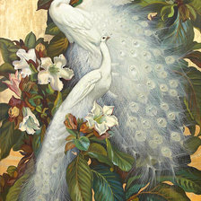 Схема вышивки «Серия "Птицы". Павлины»