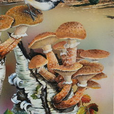 Схема вышивки «Птица на грибах»