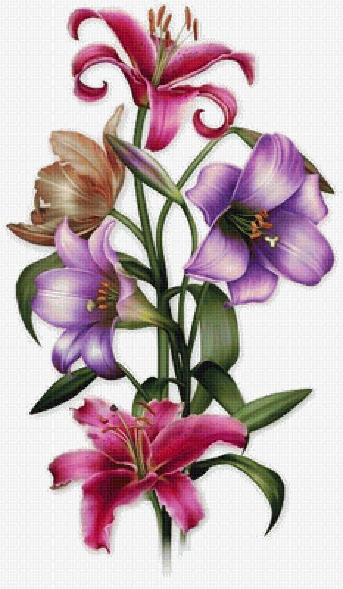 ľalie - предпросмотр