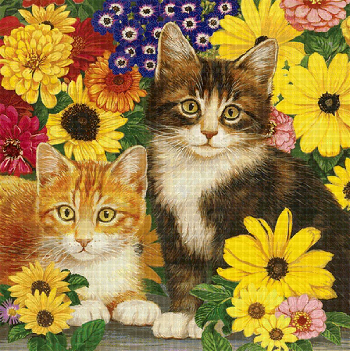 mačičky - предпросмотр