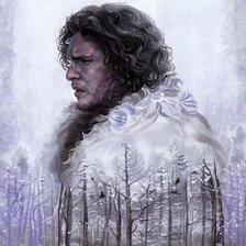 Схема вышивки «джон сноу»