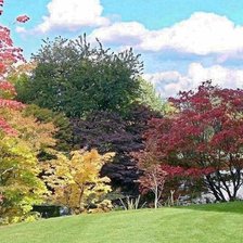 Схема вышивки «осенью на опушке»