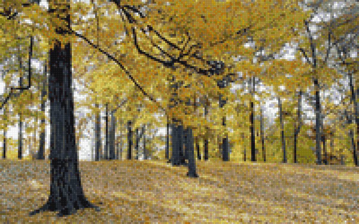 осенний лес - предпросмотр