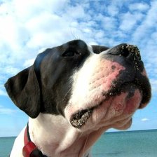 Схема вышивки «Шерри»