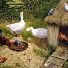 Схема вышивки «Птичий двор»