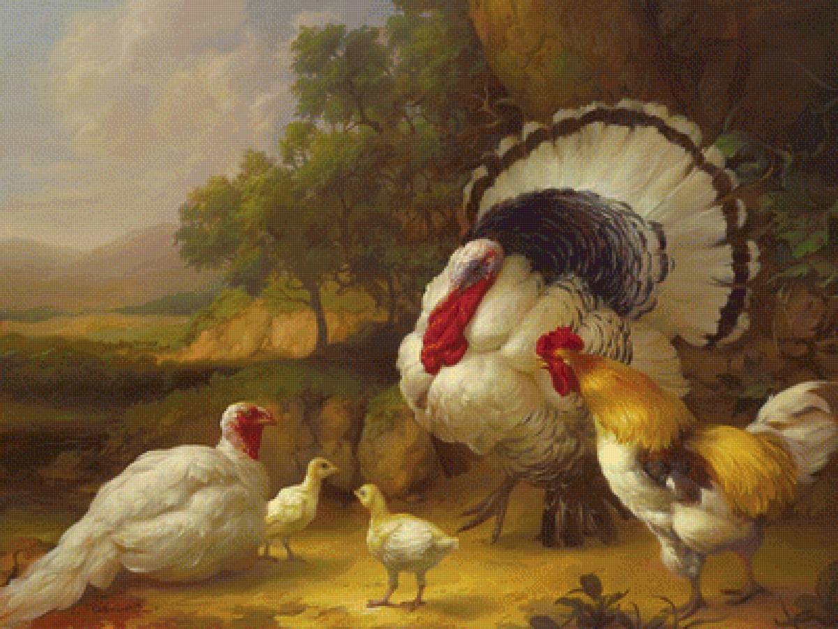 Индюки и петухи - птичий двор, птицы, петух, индюк - предпросмотр