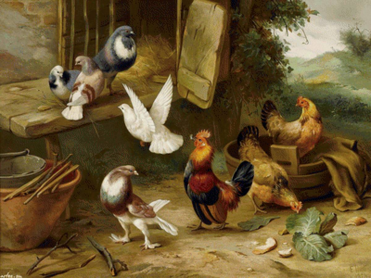 Петухи и голуби - птица, петух, голубь - предпросмотр