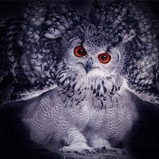 Схема вышивки «сова»