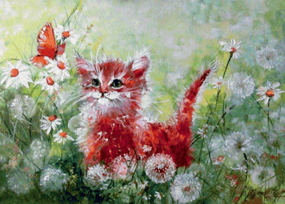 mačička - предпросмотр