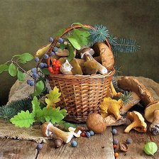 Схема вышивки «натюрморт с грибами»