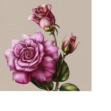 Схема вышивки «Розы»