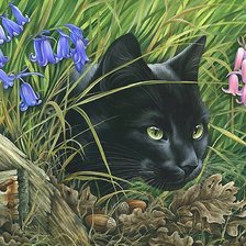 Схема вышивки «кот»