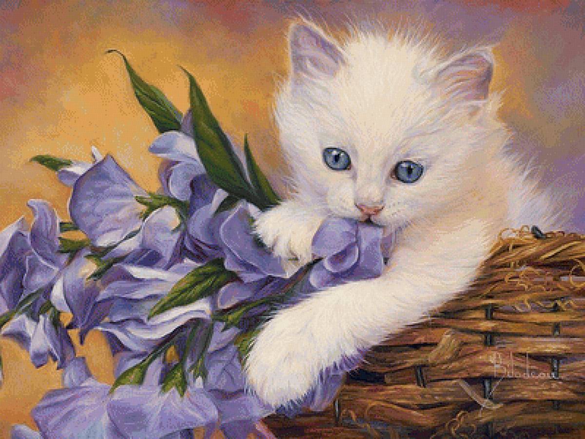 котёнок - котенок - предпросмотр