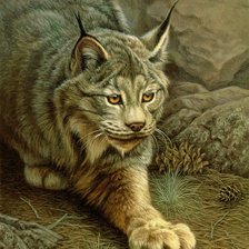 Схема вышивки «№1779050»