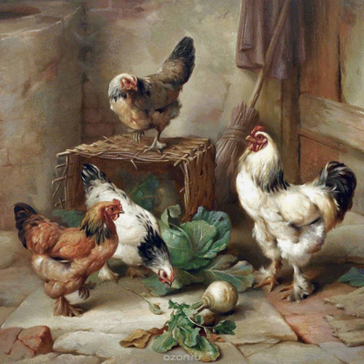 Три курочки - птицы, куры - предпросмотр