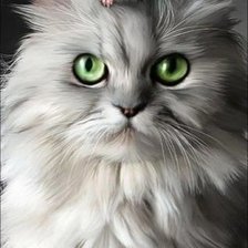 Схема вышивки «Bigotes»