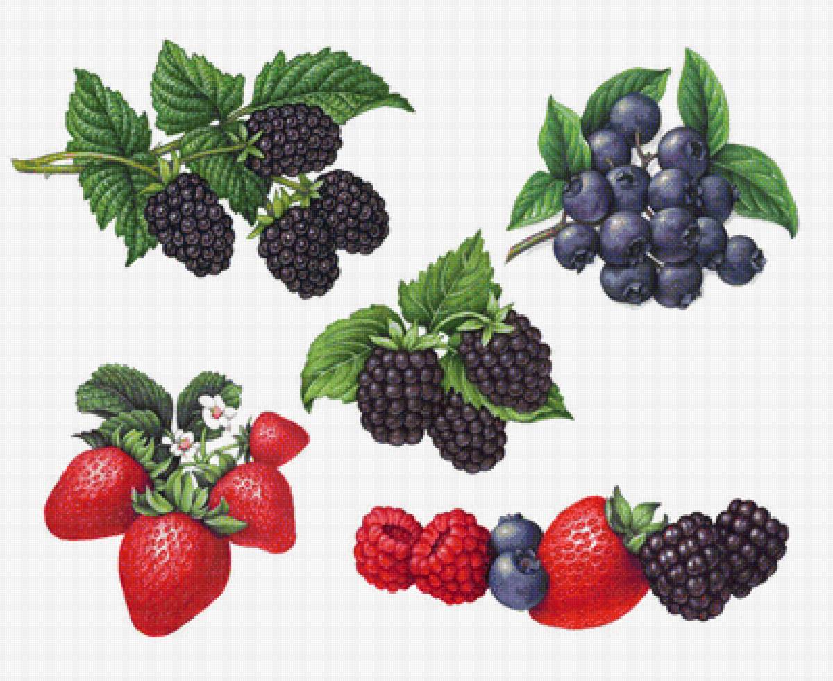 Ягоды - для кухни - предпросмотр