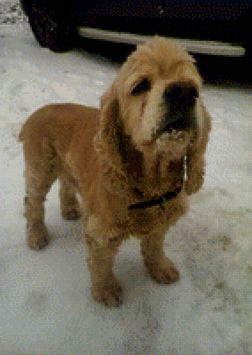 Бзик - предпросмотр